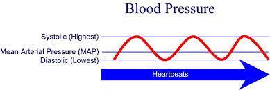 Tensiunea arteriala Definitie = forta exercitata de sange asupra