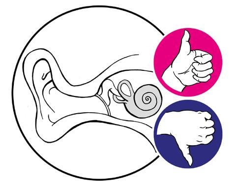 organul auditiv din urechea internă.