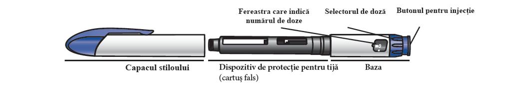 Familiarizarea cu componentele stiloului Natpar și cu medicamentul Natpar Familiarizați-vă cu componentele stiloului Natpar Componentele stiloului Natpar Notă: