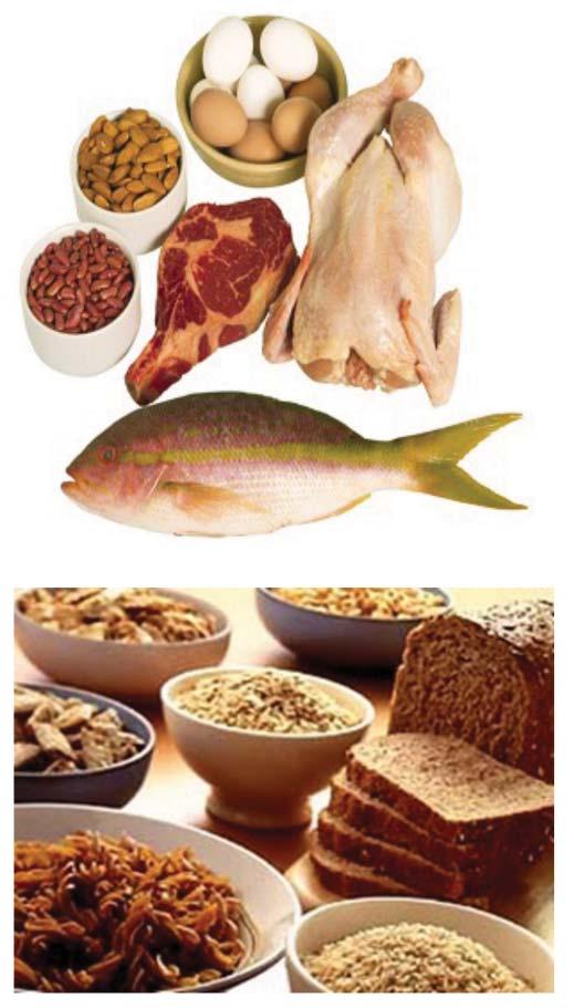 Cantitatea de proteine în 100 g de aliment consumabil Denumirea alimentului g Carne (de vită, porc, pasăre, peşte) 15-22 Salamuri, cârnaţi, şuncă 10-20 Brânzeturi 15-30 Lapte de vacă 3,5 Ou de găină