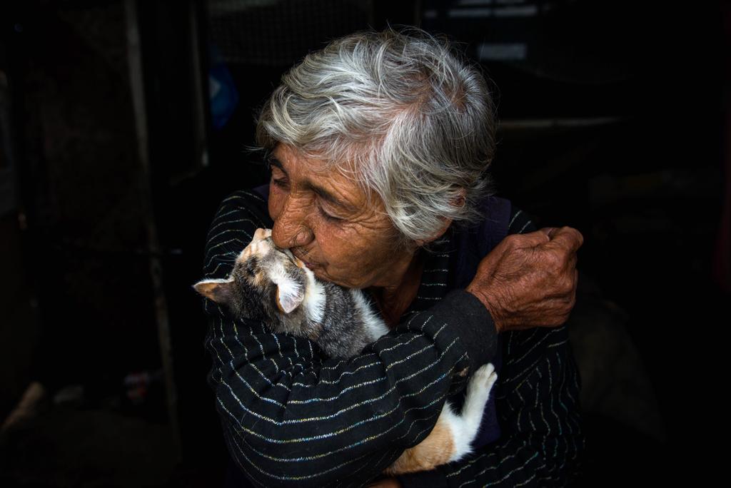Irina, 71 de ani Iubesc câinii și pisicile [are șapte