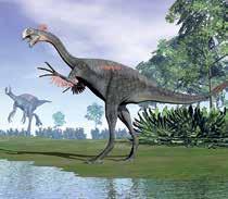 În zilele noas tre există animale care au trăsături comune cu dinozaurii.