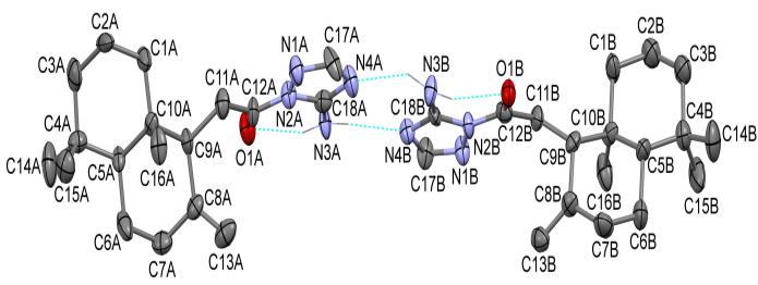 În continuarea cercetărilor noastre a fost realizată sinteza amidelor 34 și 35 ale acidului 8,3 -biciclohomofarnesenoic 25, ce includ ciclurile,2,4-triazolului și carbazolului [2-4].