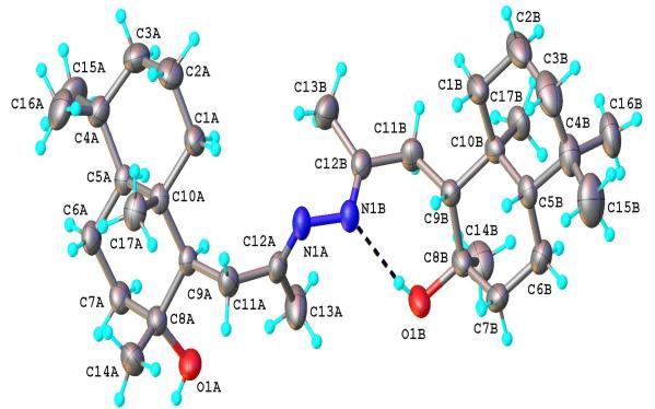 Fig. 3.4. Structura spațială a moleculei izomerului trans- a compusului 67 Așadar, în premieră au fost sintetizate sesquiterpenoidele dihomodrimanice ce conțin fragmente azinice și dihidrazidice.
