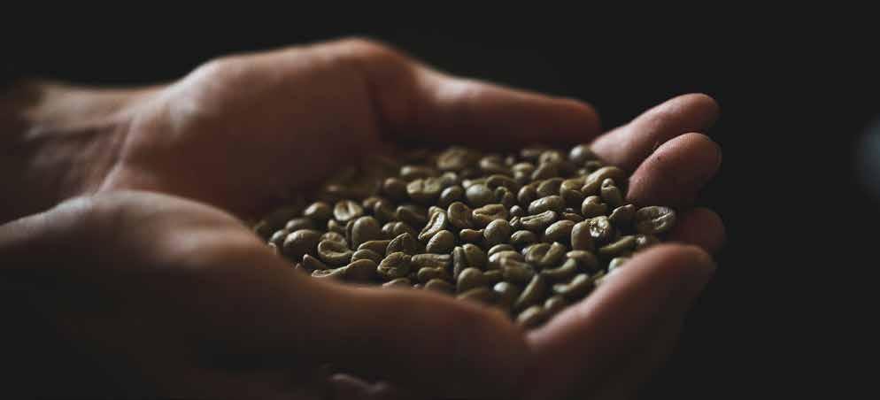 Pe lângă prezicerea impactului asupra cafelei arabica din Nicaragua, se analizează și cum va fi afectat singurul lucru care contează cel mai mult atât pentru cumpărători cât și consumatori: aroma.