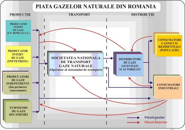 GAZE NATURALE În contextul reformelor radicale din domeniul structural i instituional care au caracterizat economia romaneasc dup 1989 i care au avut drept scop descentralizarea serviciilor în