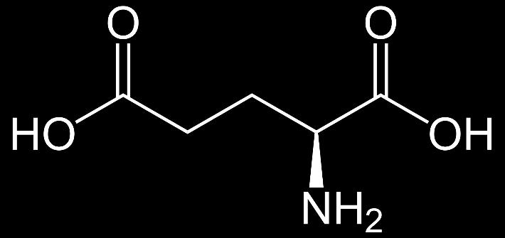 1.2 Sinteza Fe3O4@acid glutamic Sinteza nanoparticulelor de magnetită acoperită cu acid glutamic (figura 2) a fost realizată prin metoda co-precipitării modificate (figura 3) astfel: Pentru obțineria