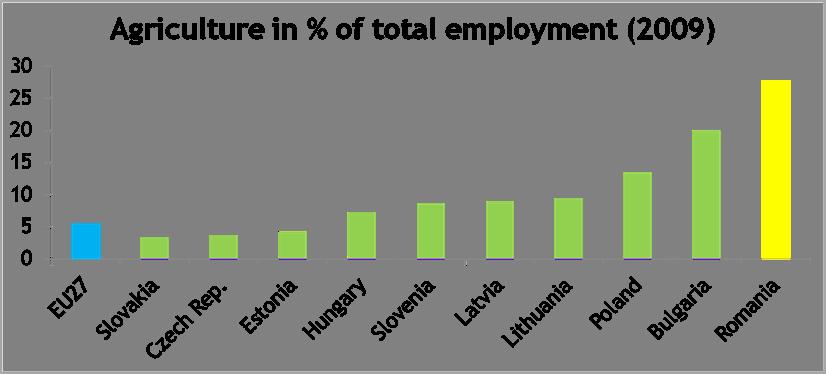 Employment distribution by sector remains substantially