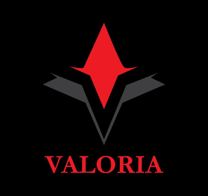 Valoria Business Solutions SRL Training I Consultanță I Coaching Elena Badea, Managing Partner Mobil: