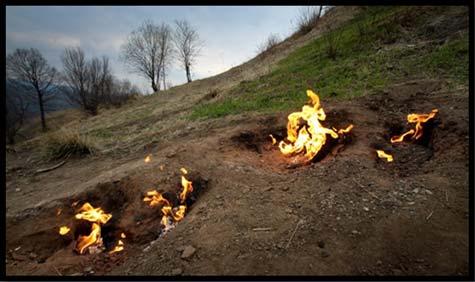 6) Rezervatia naturala Focul Viu Rezervatia naturala Focul Viu se afla in apropierea orasului Focsani, la numai 37 kilometri departare, in localitatea Andreiasu de Jos, pe malul Milcovului.