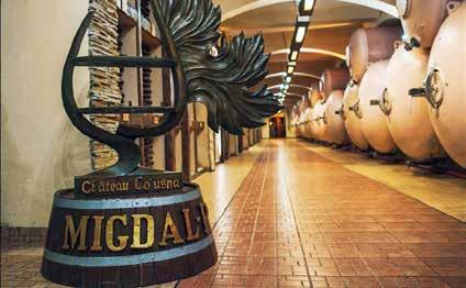 This includes cellars where wines are aged in oak barrels, along with 175,000 bottles in the Galeria