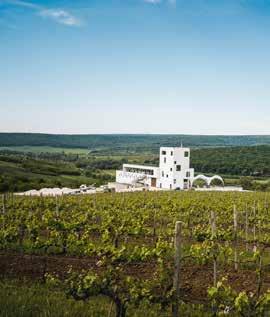 POIANA WINERY KARA GANI Poiana Winery is located near Ulmu village, in the heart of a nature reserve called Codri.