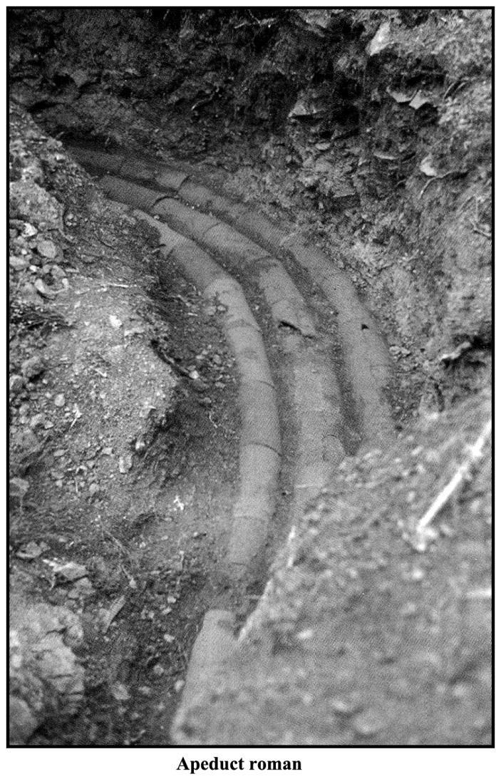 cele din localitățile Cheia și Moldovenești, unde a descoperit tuburi ceramice de dirijare a apei, considerând că acestea sunt de proveniență romană din Potaissa.