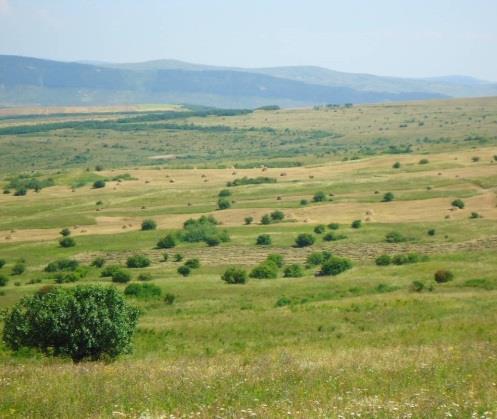 Agriculturii cu Înaltă Valoare Naturală în România