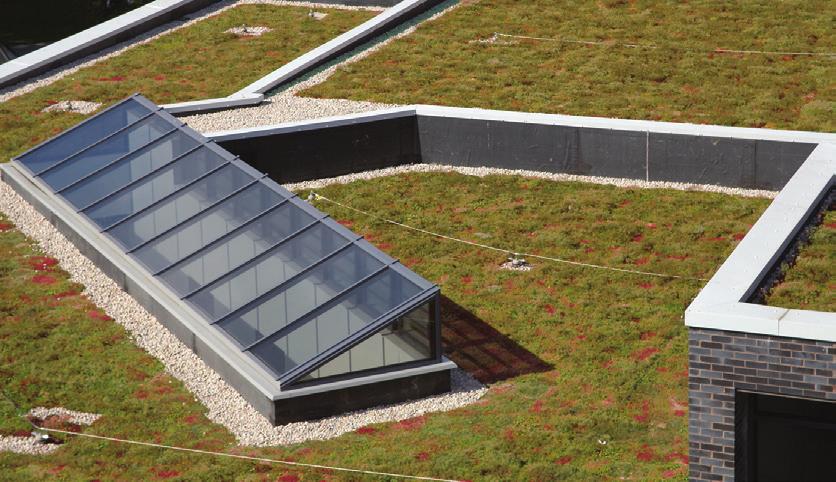 Sistemul de acoperiş vegetal Datorită preocupării tot mai mari pentru protecţia mediului, acoperişurile vegetale devin o imagine obişnuită în peisajul nostru.