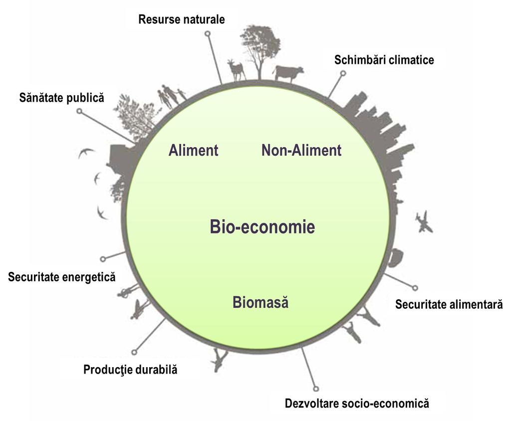 Raport privind analiza și evaluarea potențialului bioeconomic al României Bază de date cuprinzând componentele corespunzătoare potențialului industrial Harta ecosistemului bioeconomic Bio-economia