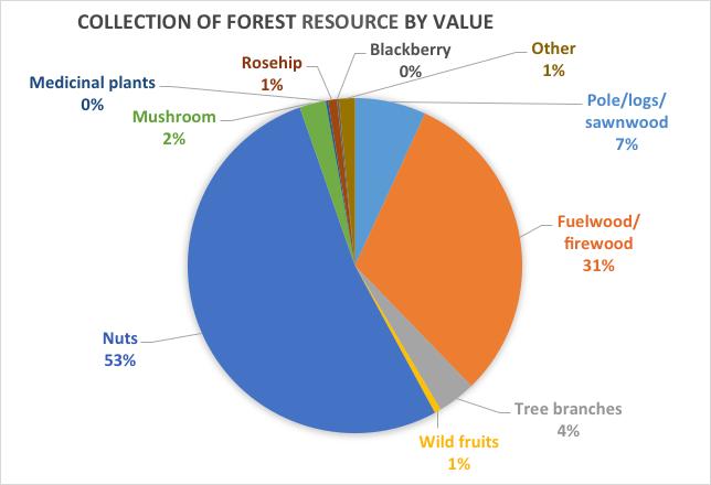 Recoltarea resurselor forestiere
