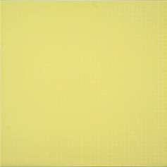 5 x 25 cm Brâu TAMARA Yellow / 6.
