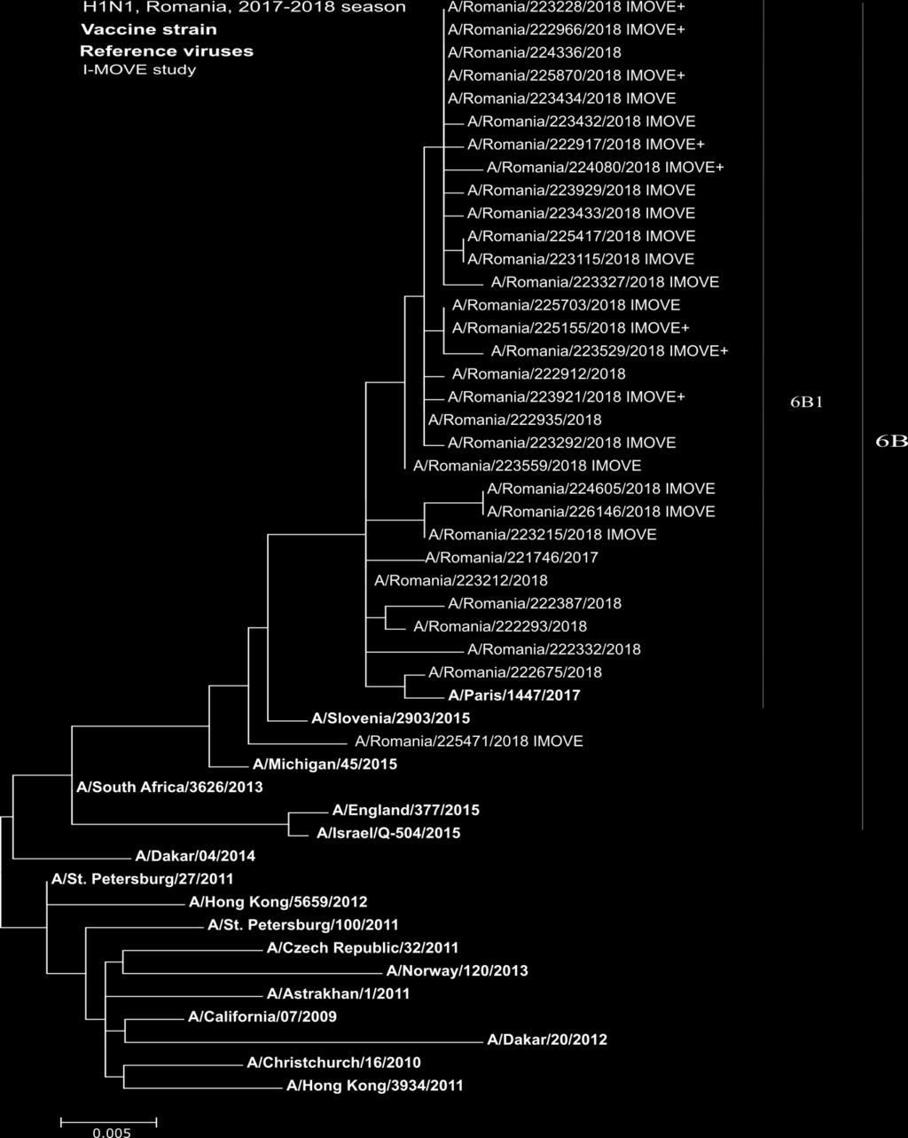 Compararea filogenetica a genelor HA ale virusurilor gripale