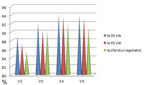 2013 2014 Figura 3 Graficul gradului de combatere a buruienilor, în cadrul experienței cu erbicid la cultura de orzoaică de primăvară, în anii 2013 și 2014 (Weight of