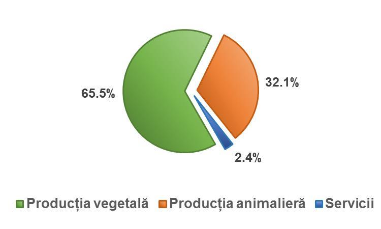 subutilizarea potențialului existent de dezvoltare în volume mari a producției agricole comercializabile din regiune (Figura 5). Producția vegetală.