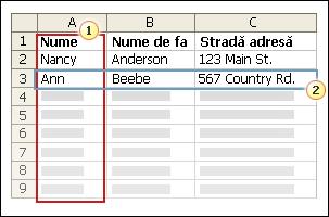Coloanele dintr-un fișier de date reprezintă categorii de informații. Câmpurile adăugate în documentul principal sunt substituenți pentru acele categorii.