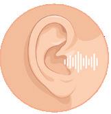 Unitatea III. FUNCȚIILE DE RELAȚIE ORGANELE DE SIMȚ Amintește-ţi! Care sunt componentele urechii? Care este rolul urechilor? Descoperă!