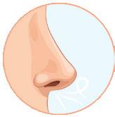 Unitatea III. FUNCȚIILE DE RELAȚIE ORGANELE DE SIMȚ Amintește-ţi! Nasul și simțul mirosului Care sunt rolurile nasului? De ce nu simțim mirosuri atunci când plângem?