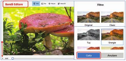 Aplicarea efectelor 3D peste cadru Selectează cadrul și alege Efecte 3D din Banda de Editare sau din meniul contextual, clic dreapta Editare.