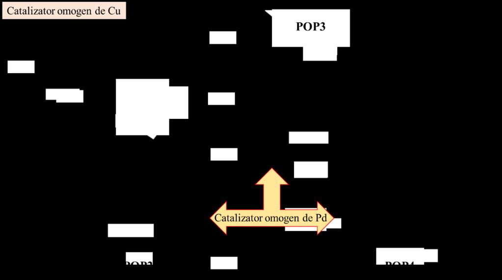 CAPITOLUL V Polimeri organici poroşi (POP) derivaţi de la spirobifluoren 3,3',6,6'-tetrasubstituit. Sinteză, caracterizare şi studiul activităţii catalitice în reacţii de hidrogenare.