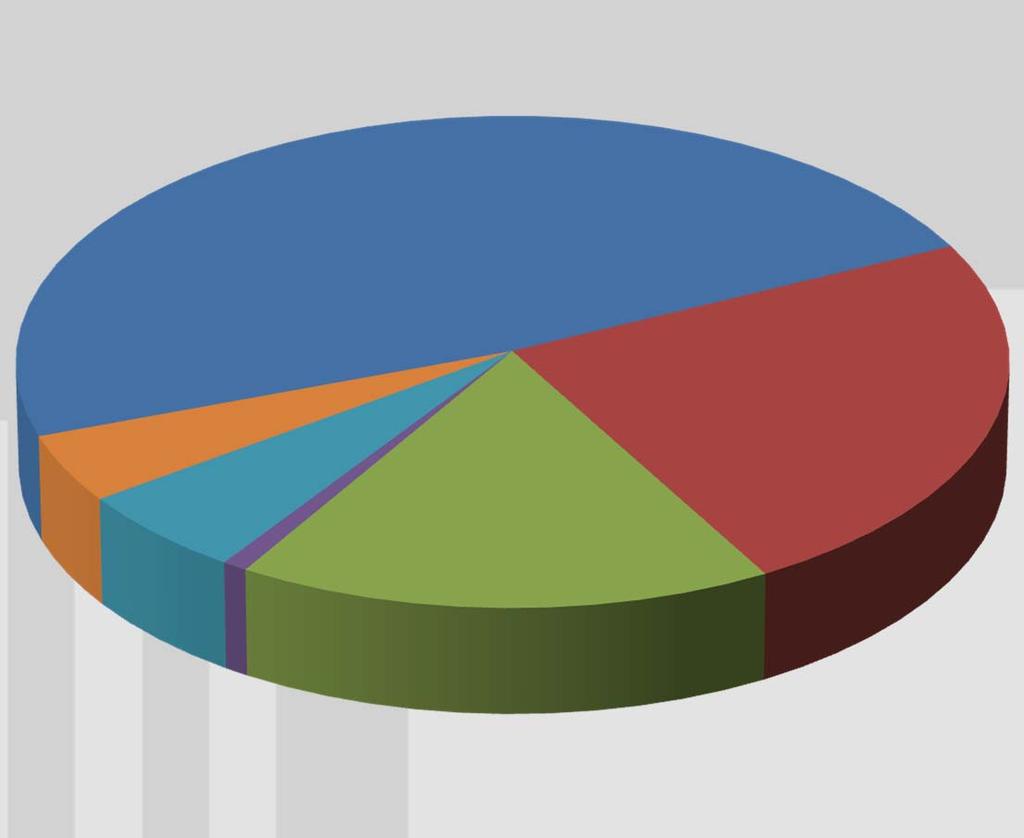 Situaţie privind plăţile efectuate în anul 2013 pe toate sursele de finanţare şi pe titluri de cheltuieli Cheltuieli de personal 48,39% Cheltuieli de personal Bunuri si servicii Proiecte fd.