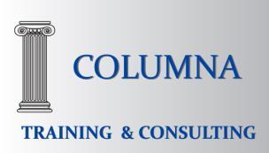 COLUMNA TRAINING & CONSULTING SRL CUI 29601246 Reg. Com.