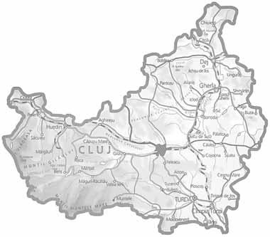 Variabil 6 /18 Variabil Autorităţile din Cluj nu-şi amintesc să fi primit informări SRI despre dezinfectanţi Reprezentanţii autorităţilor judeţene din judeţul Cluj din perioada 2011 2016 susţin fie
