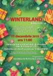 Winterland 2019. Târg de Crăciun ajuns la cea de-a IX-a ediţie, organizat miercuri, 11 decembrie, începând cu ora 11.00, în Holul Central al Universităţii din Craiova.