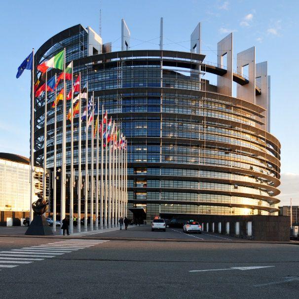 Înţelegând pe deplin că Şeful Comisiei Europene sau Guvernul Statelor Unite ale Europei, cu sediul la Bruxelles, nu au niciun fel de atribuţii decizionale sau pârghii legale, în a-mi satisface, în