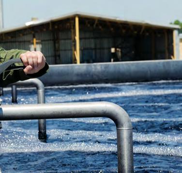 APE UZATE: ELIMINAREA POLUANȚILOR DIN APĂ Eficiența tratării apelor uzate în ceea ce privește anumiți poluanți pentru tăbăcăriile care compun eșantionul, 2016-2018, comparație valori medii SER 2012
