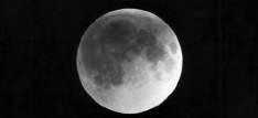 Eclipsele de Lună sunt vizibile de pe toată emi sfera Pământului, unde la momentul eclipsei Luna este deasupra orizontului. În timp de un an pot fi observate până la 3 eclipse de Lună.