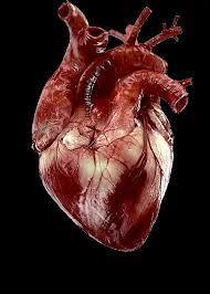 biomarkerii afectării acute ale cardiomiocitului, a complicațiilor cardiovasculare, și D-dimerii