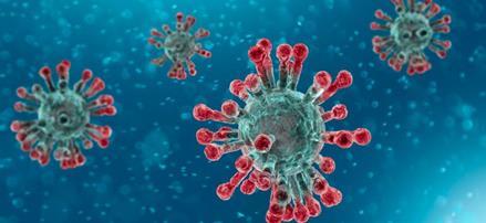 Particularitățile evaluării copiilor cu COVID-19 Conform datelor disponibile, se poate remarca faptul că copiii sunt mai puțin sensibili la virusul SARS-CoV-2, boala lor este mai ușoară, cu toate