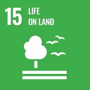10 Acțiunile la nivel mondial și la nivelul UE în ceea ce privește pădurile 07 Angajamentele internaționale ale UE în acest domeniu sunt Convenția ONU privind diversitatea biologică și Agenda 2030