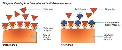 Histamina- antihistaminicele de noua generație Antagoniști necompetitivi al receptorilor pe histamină AH1, AH2, AH3,