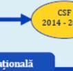 Consiliului privind Programul Naţional de Reformă CSF (Common Strategic