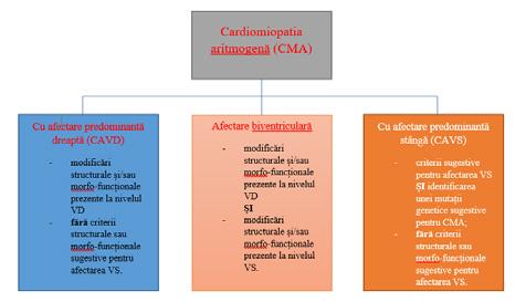 Fig. 9. Diagnosticul variantelor fenotipice ale pacienților cu cardiomiopatie aritmogenă care întrunesc criteriile Padua.