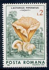 Exerciţiul 4 - Fungi Sarcini de lucru: 1. Parcurgeţi o colecţie de timbre cu tematică forestieră 2.