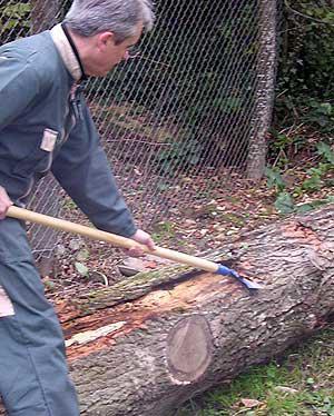 Soluţiile exerciţiilor propuse Exerciţiul 6 Câteva reguli ale cojirii scoarţei arborilor: ca regulă generală, mai întâi se cojesc arborii groşi deoarece la aceştia operaţia se face mai greu cojirea