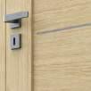 ACCESORII INCLUSE ÎN PREȚUL CANATULUI Broască (argintiu sau auriu lucios): pentru cheie standard, buton cu blocare pentru uşi de baie sau pregătire pentru cilindru Sticlă mată călită Pregătire pentru