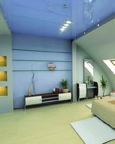 Sunt soluţia perfectă pentru pereţi, plafoane, compartimentări, placări şi finisări.