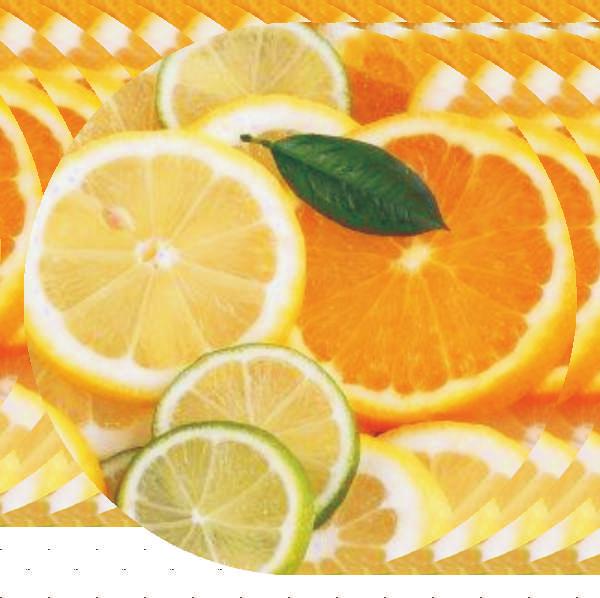 GAMA CU EXTRACT DE PORTOCALE Gel de dus cu extract de portocale Protejeaza si catifeleaza pielea. Indicat pentru utilizarea zilnica.