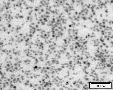 imaginile TEM pentru fluidul magnetic Fe 3 O 4, nanocompozita PPy-Fe 3 O 4 (proba PPyF2 din Tabelul I).