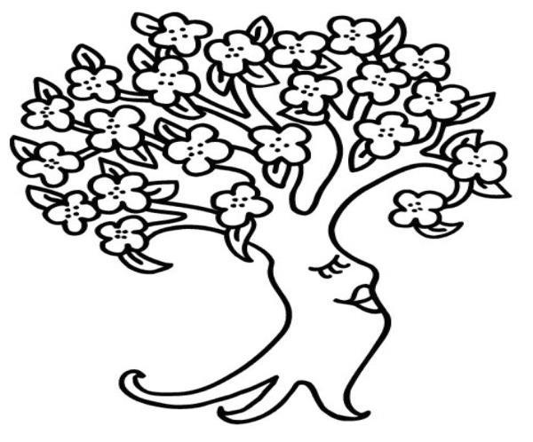 Violeta Nechifor Școala Gimnazială V. I. Popa, Bârlad 1. Ordonează crescător și apoi descrescător numerele impare din dreptul florilor căzute: Colorează florile și frunzele din pom. 13 25 10 15 7 2.